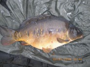 Brooklands Lake - 20lb 2oz