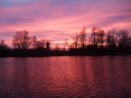Trout Lake - 1lb