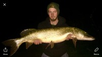 Trout Lake - 20lb