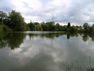 Trout Lake - 1lb