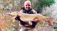 Trout Lake - 17lb