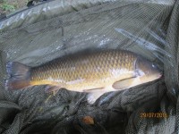 Ford Lake - 16lb