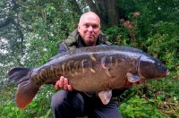 Abbey Meads - 31lb